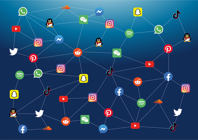 Tiktok among most used social media apps